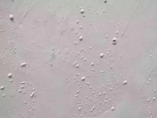 1_200911115720_1 CHINA·tyc522cc太阳成集团|品牌官网